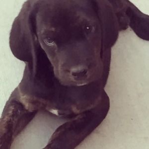 Meet your Posher, Tami